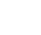 lang_icon